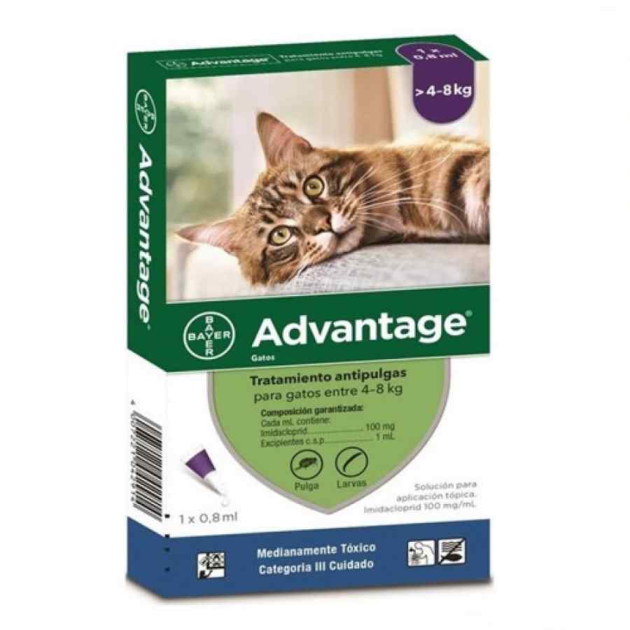 Bayer Advantage 1 x 0.8 ML (4 8 KG) (lmidacloprid 10%), , large image number null