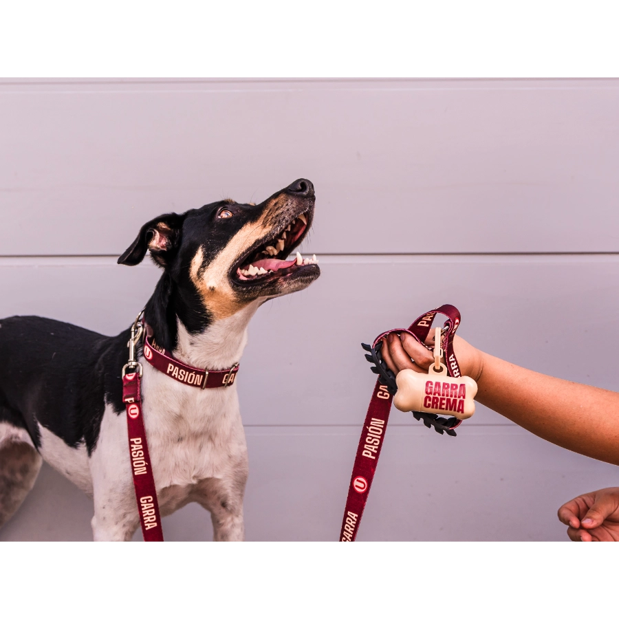Dispensador De Bolsas Universitario + Bolsas, , large image number null