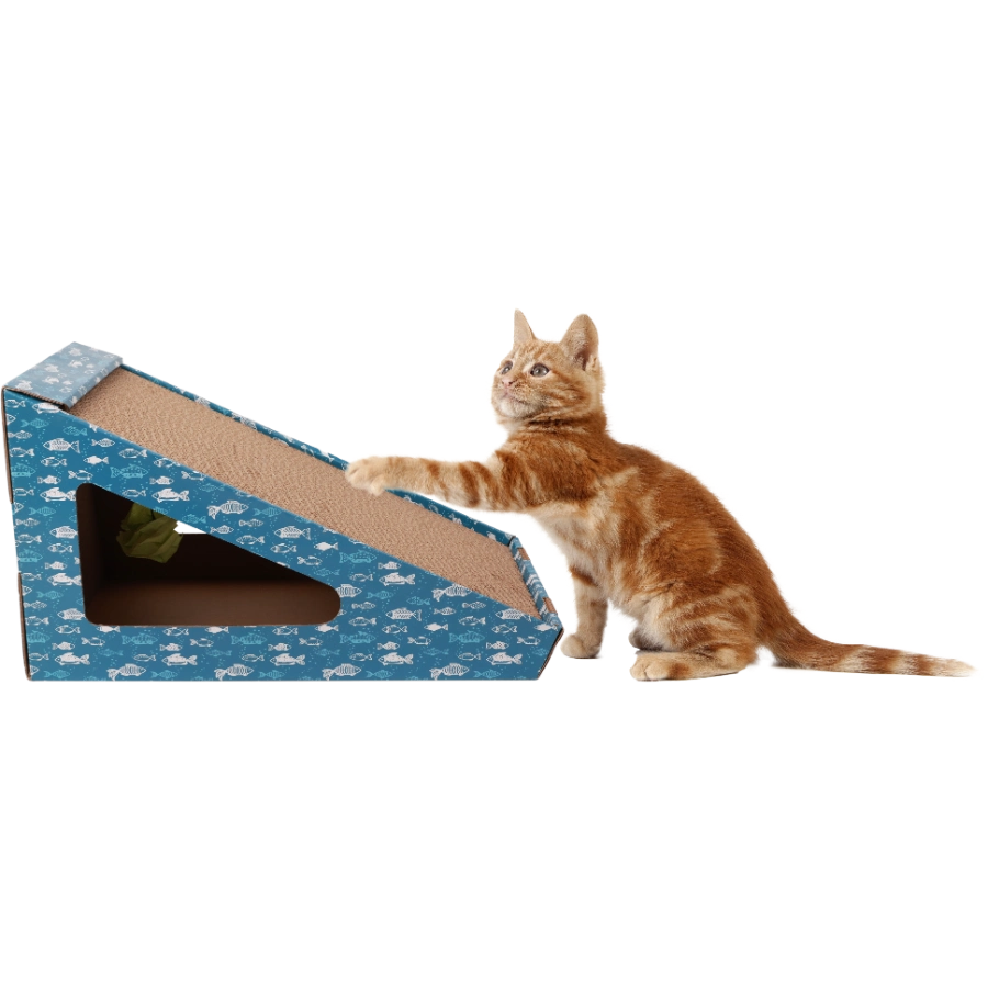 Walter Wedgie Cardboard Play & Scratch B