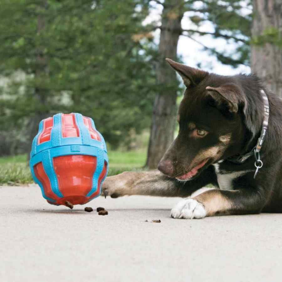 KONG Treat Spinner Lg, , large image number null