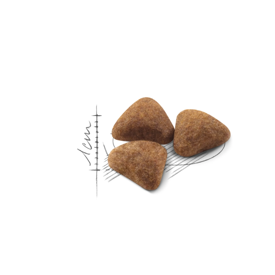 Royal Canin Gato Fhn Indoor 27 2 Kg, , large image number null