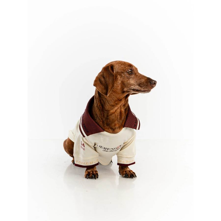Camiseta Oficial Colecci&oacute;n 2026 Universitario