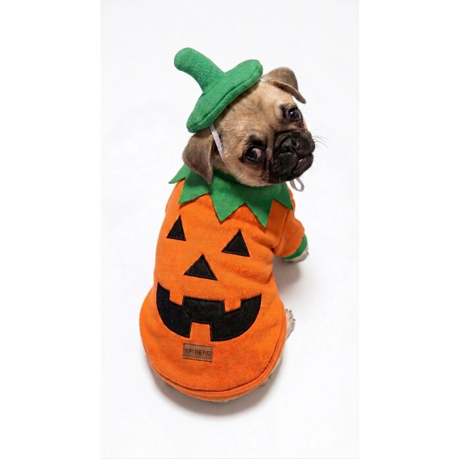 Yupi The Pug Disfraz Calabaza