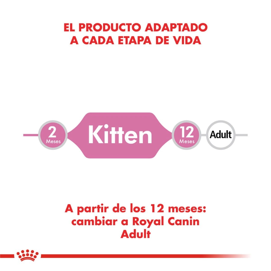 Royal Canin Gato Fhn Kitten Jelly 85 g, , large image number null
