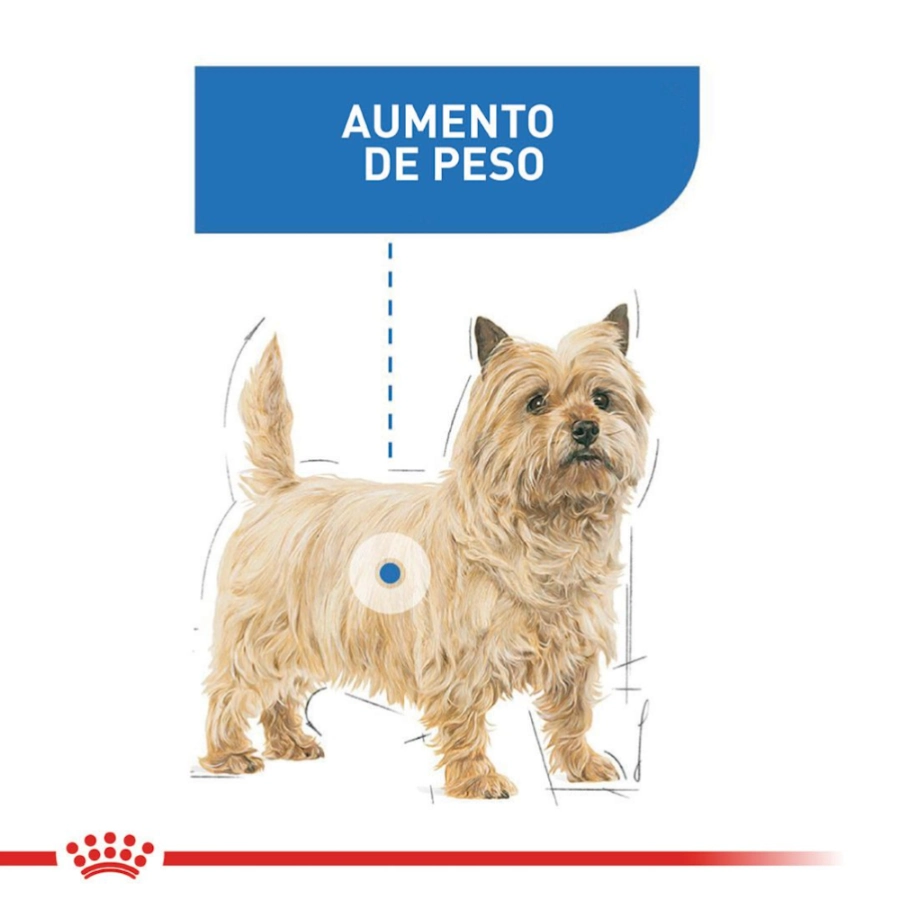 Royal Canin Perro Ccn Mini Light Weight Care 3 Kg, , large image number null