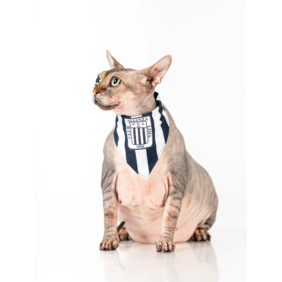 Bandana Oficial Colecci&oacute;n 2026 Alianza Lima, , large image number null