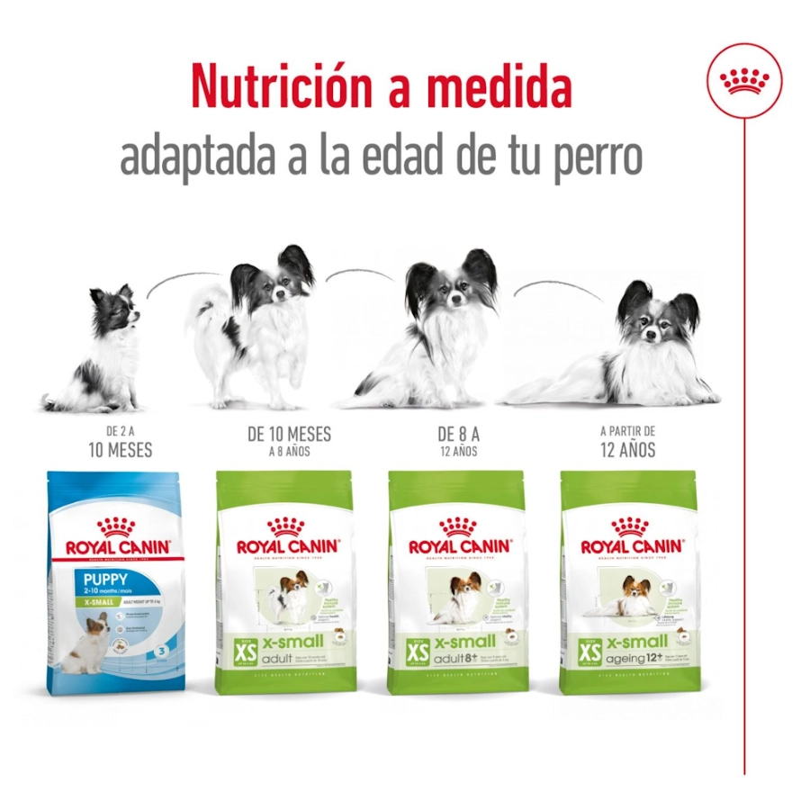 Royal Canin Perro Shn Xsmall Adult 1.5 Kg, , large image number null