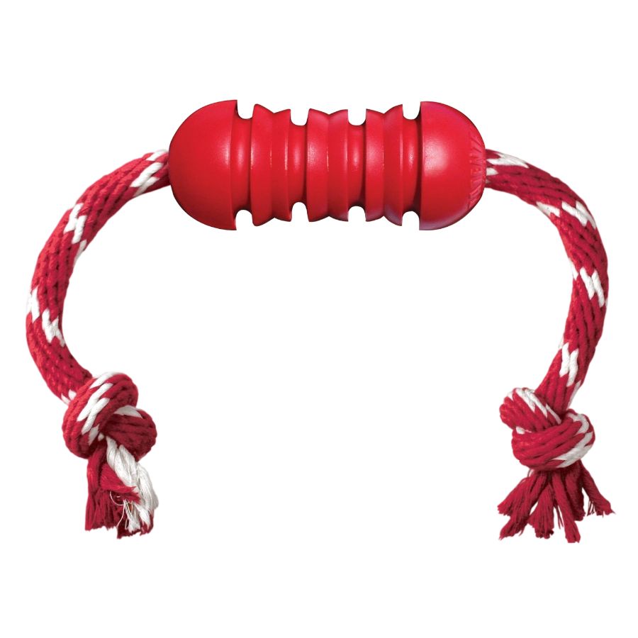 Kong Dental W/Rope Md, , large image number null