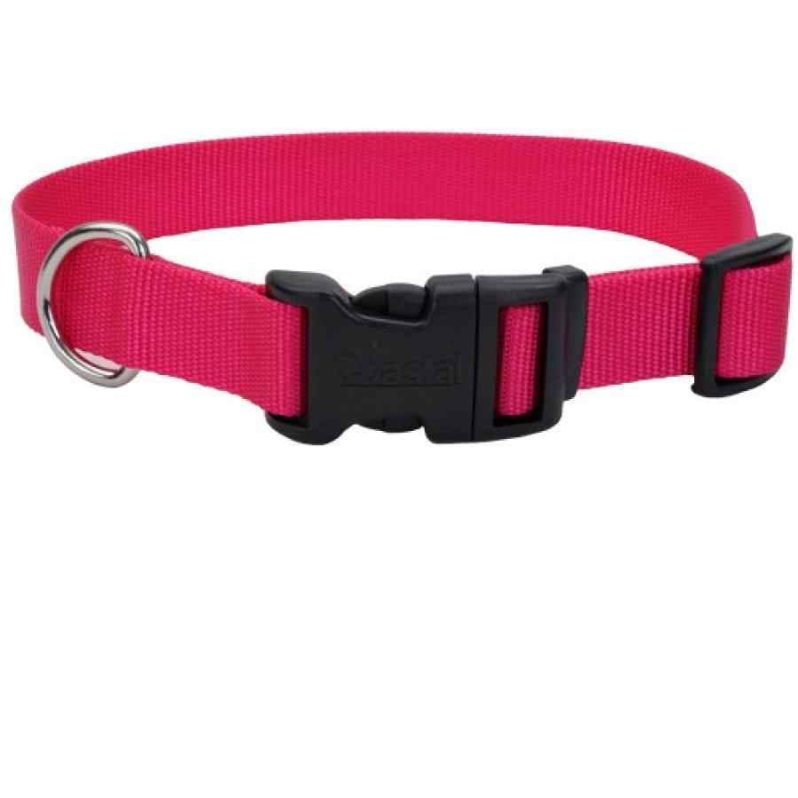 Coastal Collar con hebilla de plastico 5/8"  (6401    PKF14)