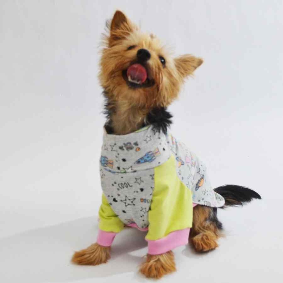 Yupi The Pug Polo Unicorn, , large image number null