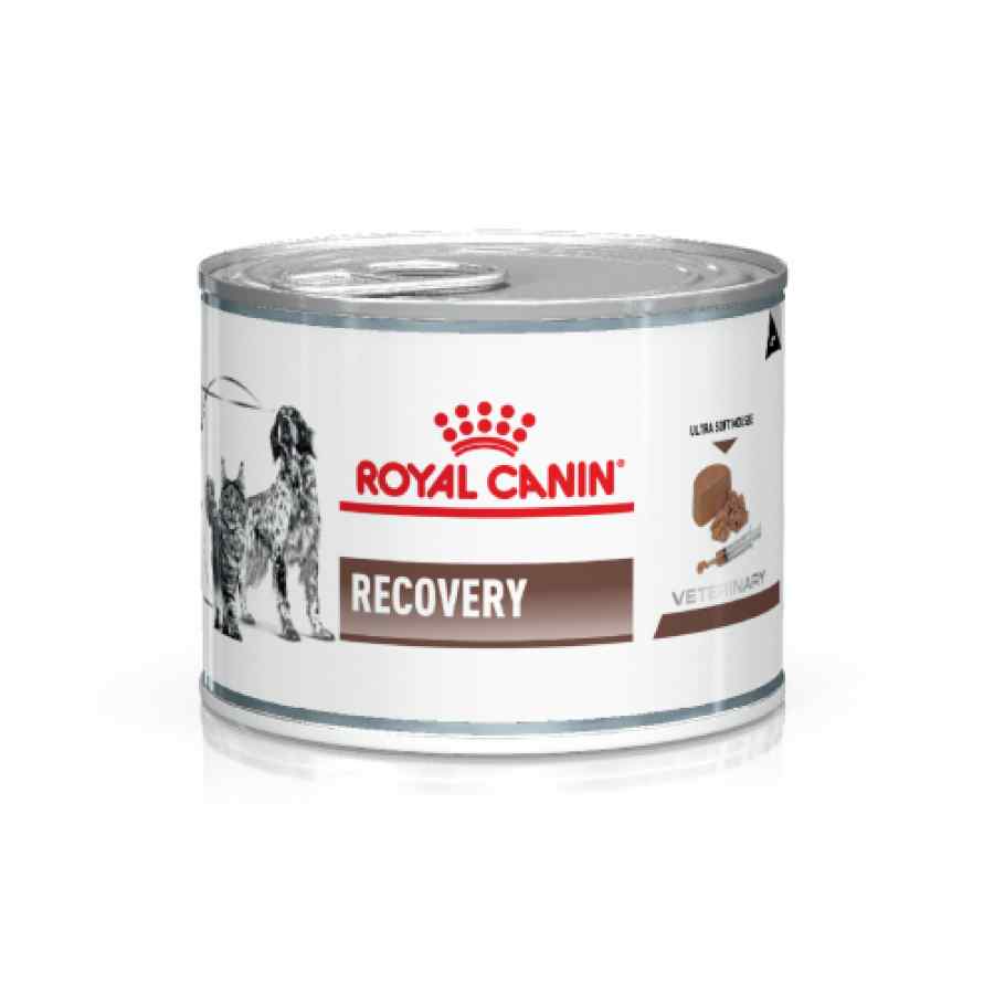 Royal Canin VD Recovery Cat/Dog Mousse 195 g image number null