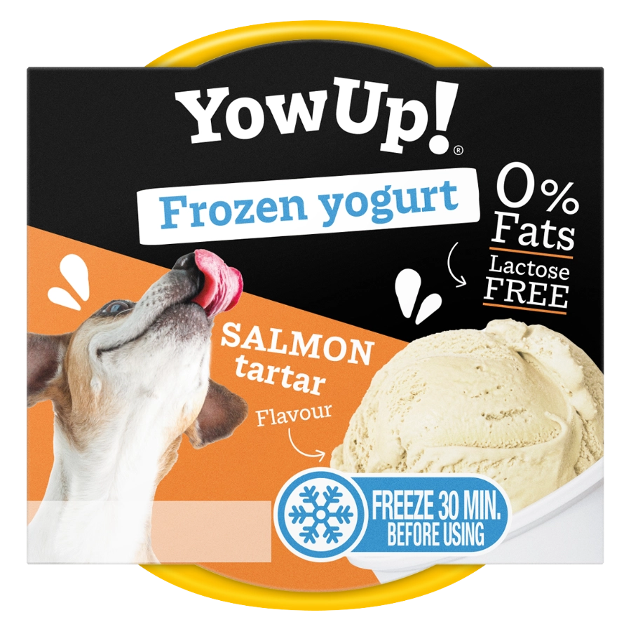 Frozen Yogurt Salmon Tartar 110G, , large image number null
