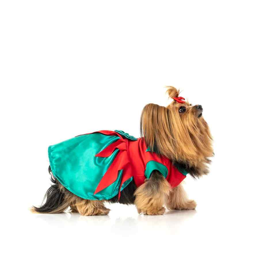 Vestido duende, , large image number null
