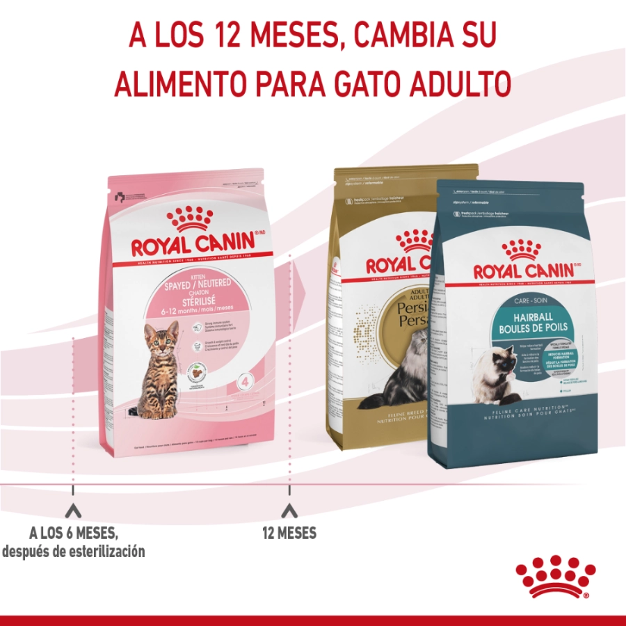 Royal Canin Fhn Kitten Steril Fd 400G, , large image number null