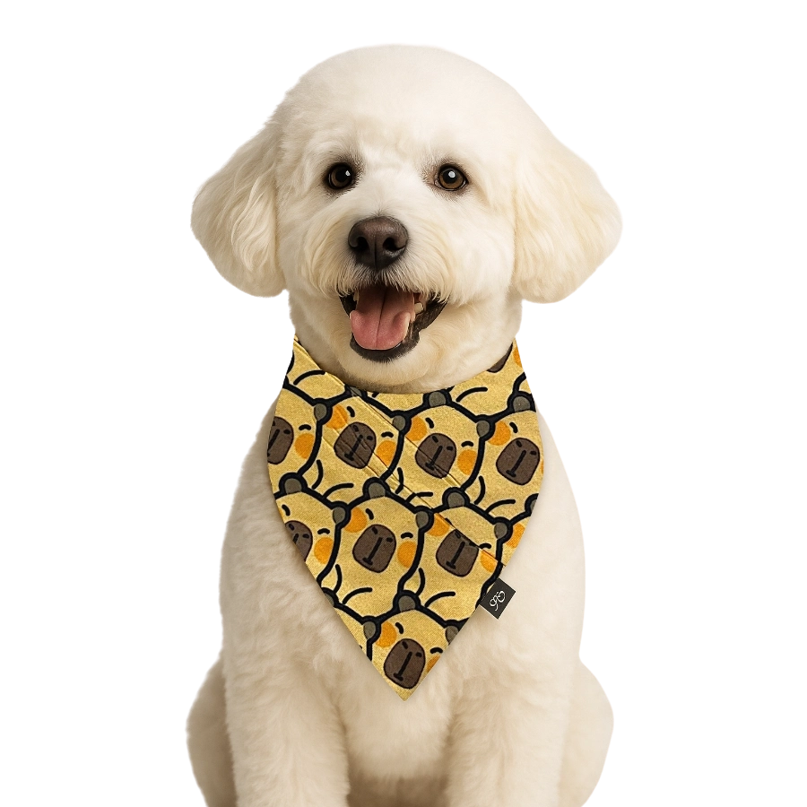 Lmb Bandana Capibara, , large image number null