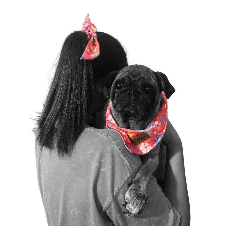 Yupi the pug bandana match, , large image number null