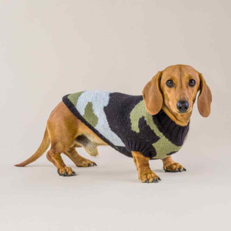 Sweater Para Perro Army Camouflage, , large image number null