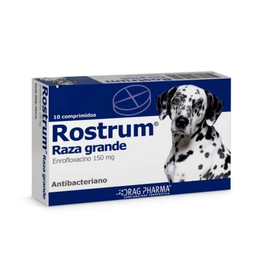 Dragpharma Rostrum Raza Grande (Enrofloxacina 150 Mg) Caja X 10 Tabletas Pe0003