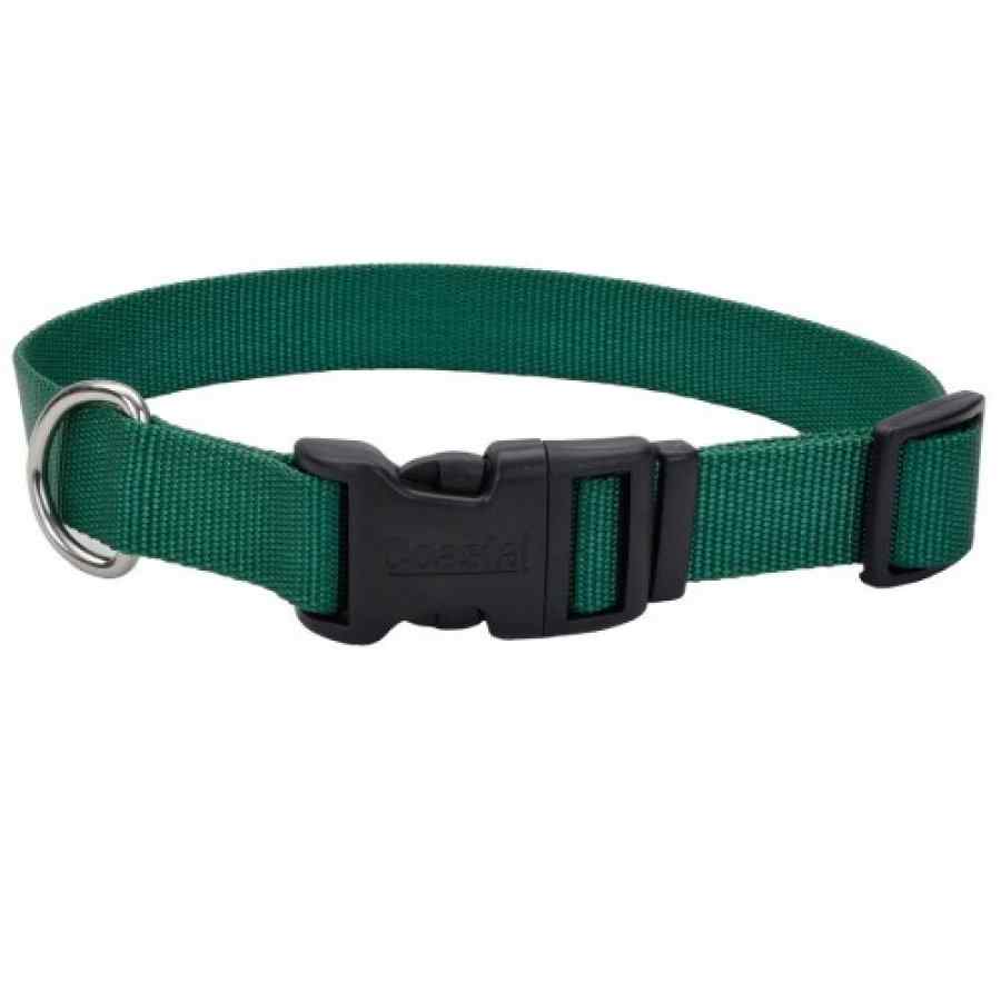 Coastal Collar con hebilla de plastico 3/8" (6301    HUN12), , large image number null