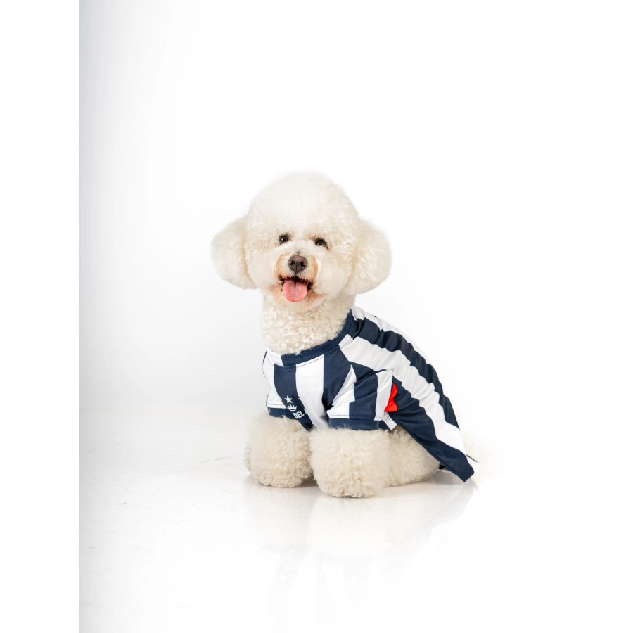 Camiseta Oficial Colecci&oacute;n 2026 Alianza Lima, , large image number null