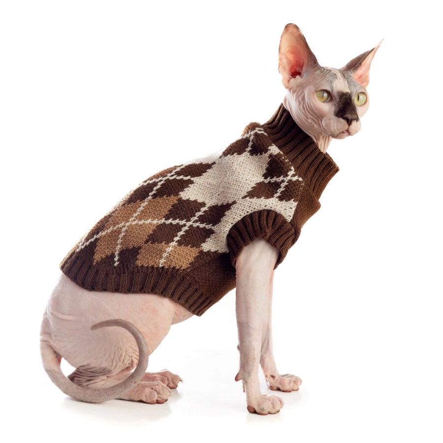 Lmb Sweater Marron, , large image number null