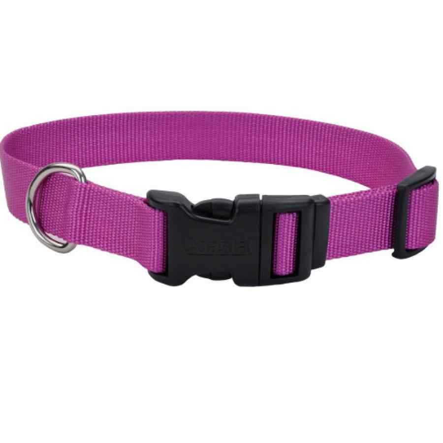 Coastal Collar & Correa Perro 5/8" Tuff Collar 6401 ORD14, , large image number null