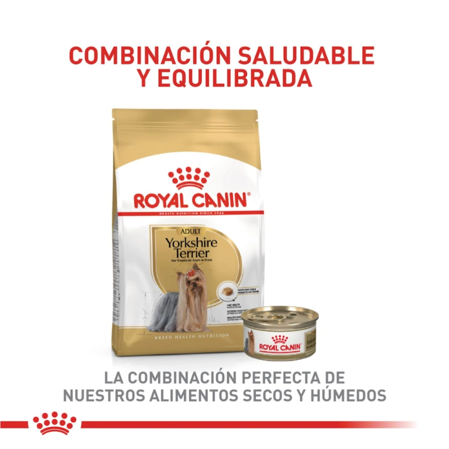 Royal Canin Perro Bhn Yorkshire Adult, , large image number null