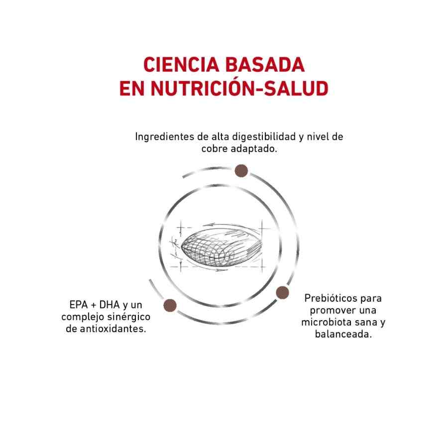 Royal Canin VD Dog Hepatic 1.5 Kg image number null