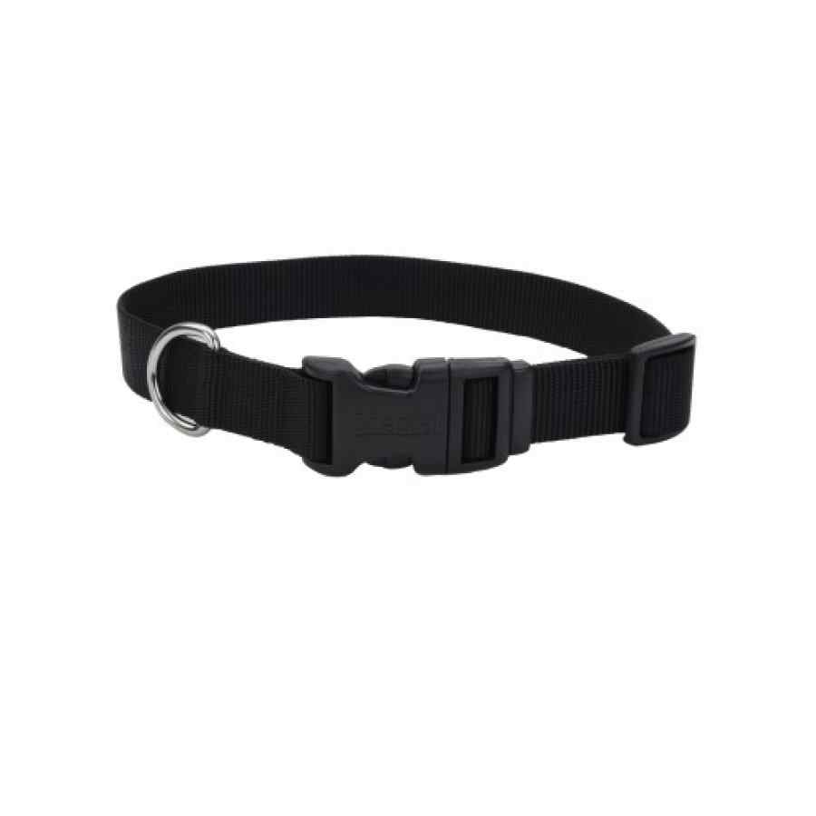Coastal Collar Nylon Small 5/8" X 14' Negro