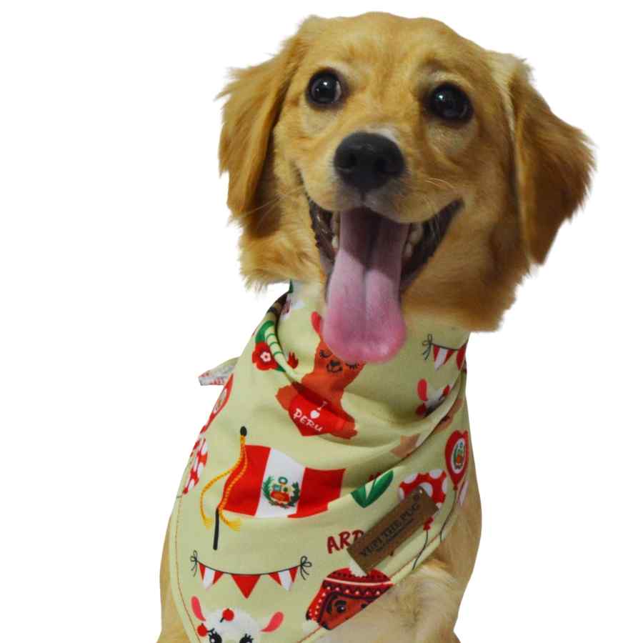 Yupi The Pug Bandana Peru, , large image number null
