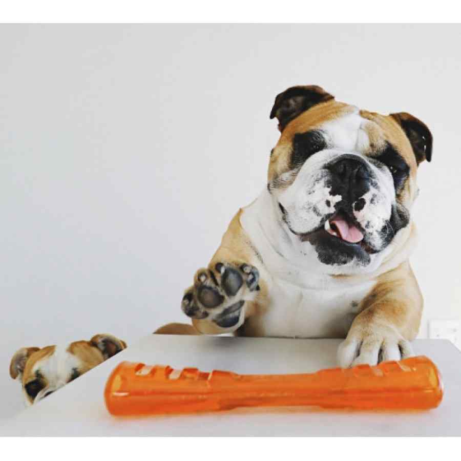 Petstages BIONIC STICK ORANGE M