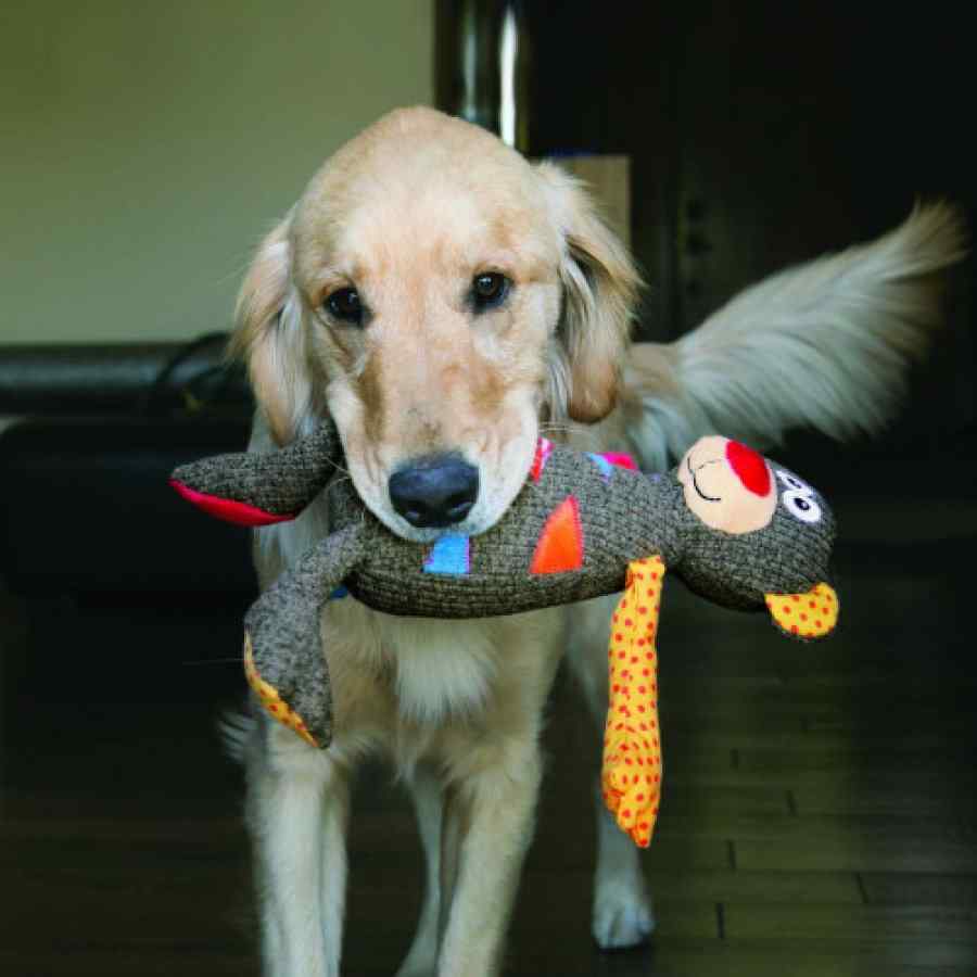 KONG Patches Possun Small, , large image number null