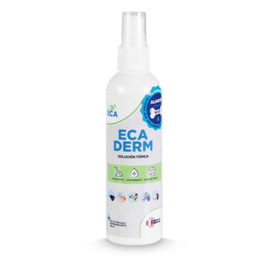 Antibacterial Ecaderm 1 Spray x 120 Ml
