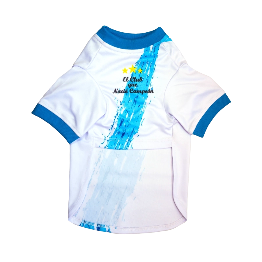 Camiseta Sporting Cristal Alterna Colección 2025, , large image number null