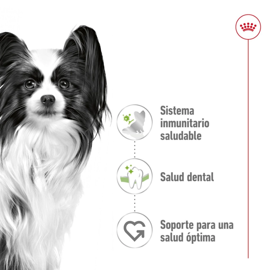 Royal Canin Perro Shn Xsmall Adult 1.5 Kg, , large image number null