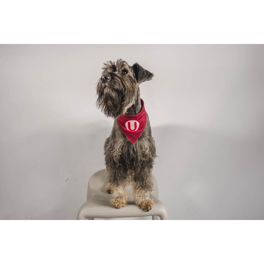 Bandana reversible alterna universitario, , large image number null