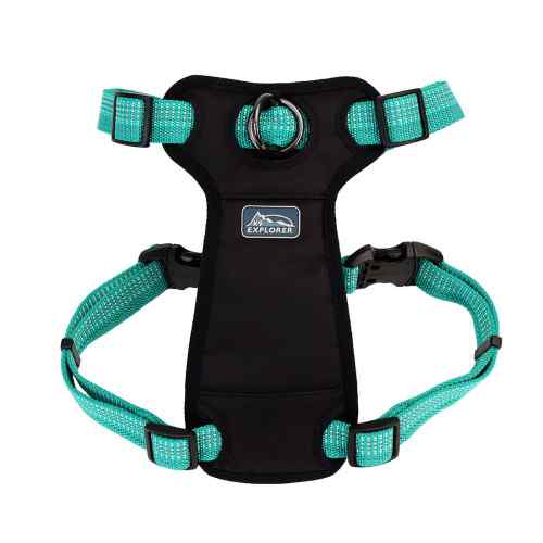5/8"K9 Brites Harness Oce-Ocean 18
