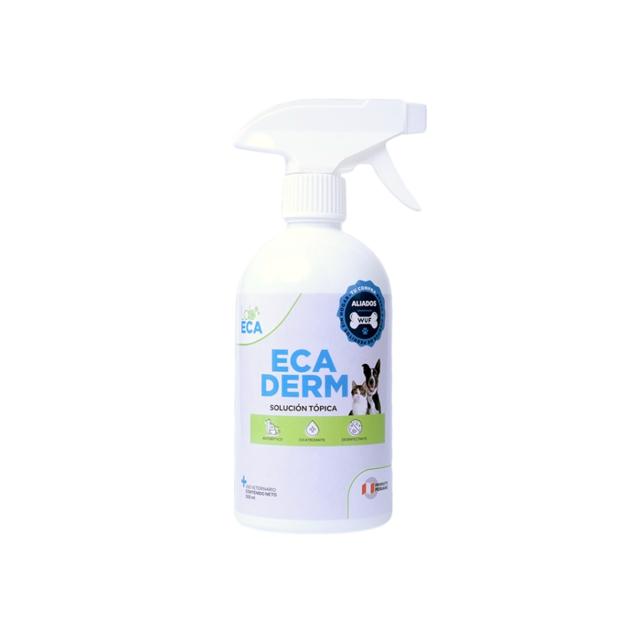 Antibacterial Ecaderm 1 Spray x 500 ml, , large image number null