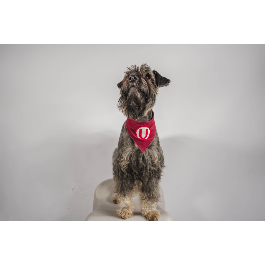 Bandana reversible alterna universitario, , large image number null
