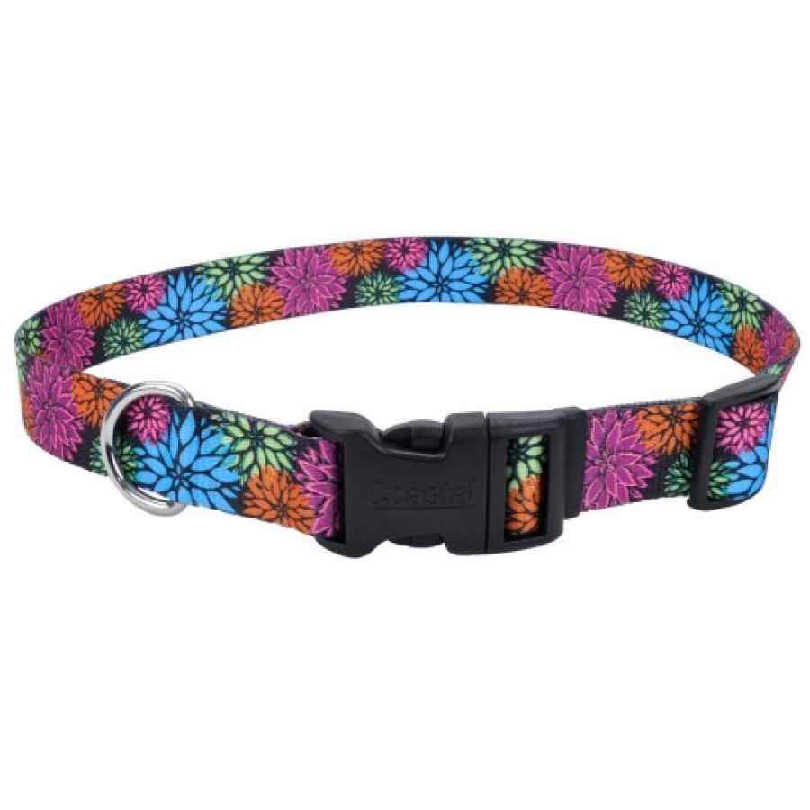 Coastal Collar con diseño y hebilla de plastico  3/4" (06621 WDF20)