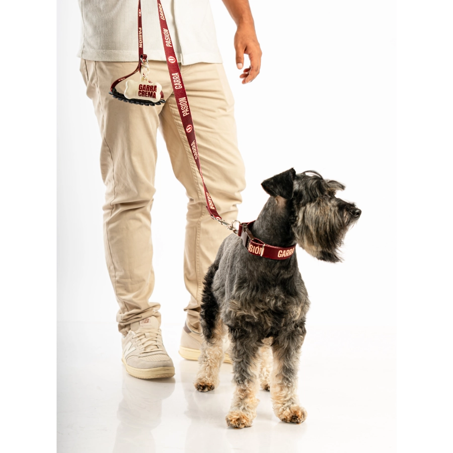 Dispensador De Bolsas Universitario + Bolsas