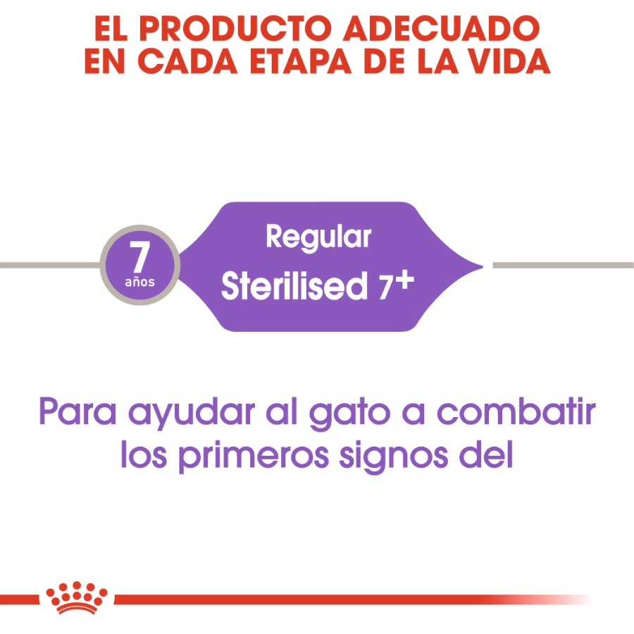 Royal Canin Gato Fhn Sterilised 37, , large image number null