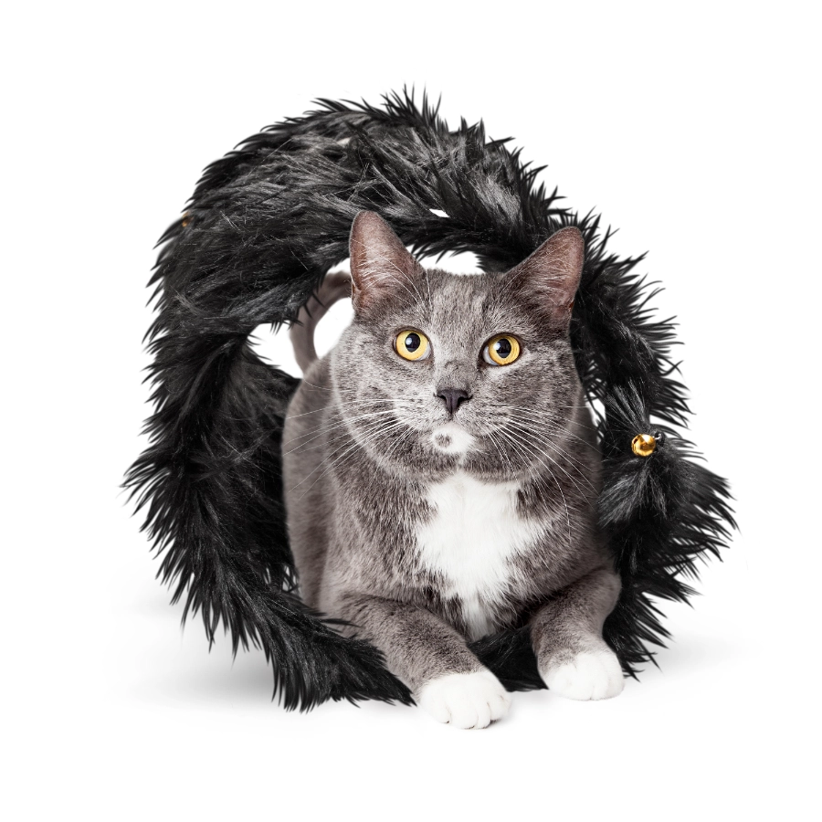 Playology Cat Fuzzy Tunnel, , large image number null