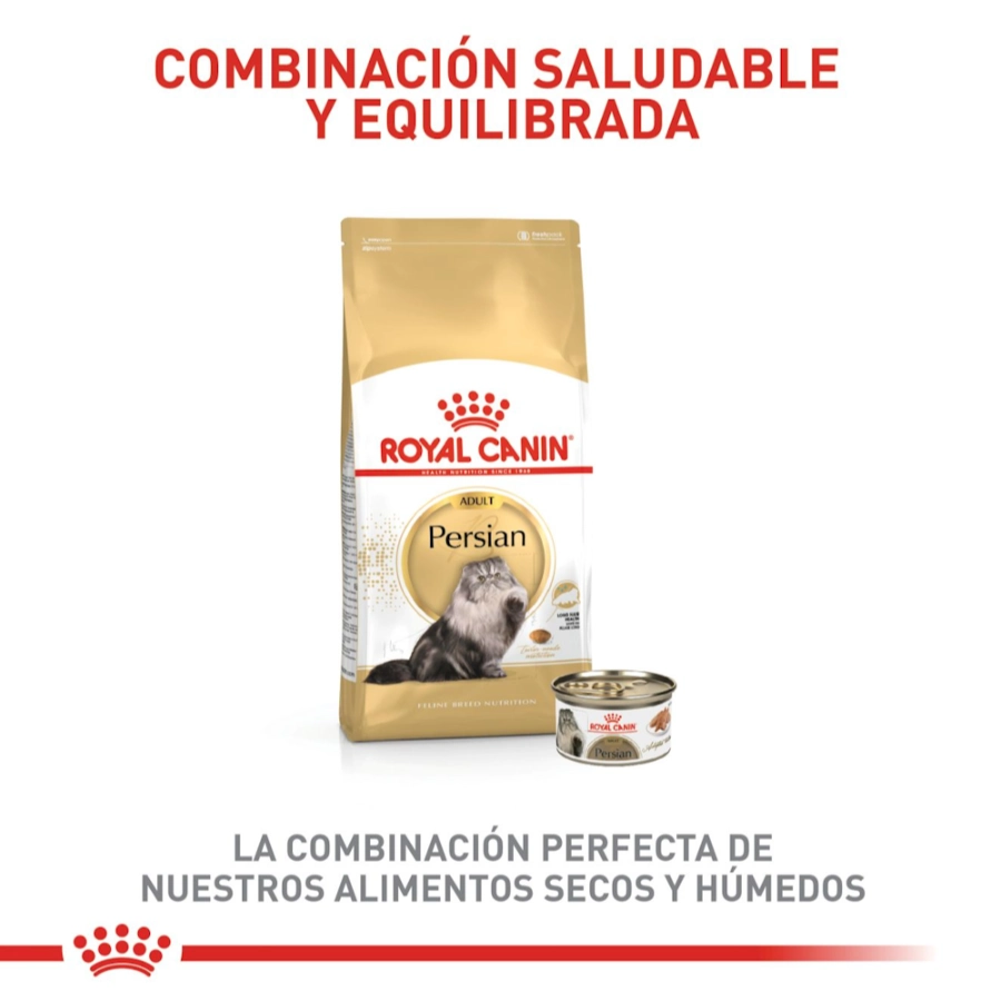 Royal Canin Gato Fbn Persian Adult, , large image number null