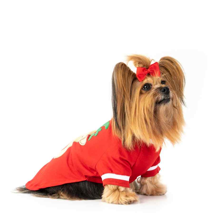 Polo Reno Red, , large image number null