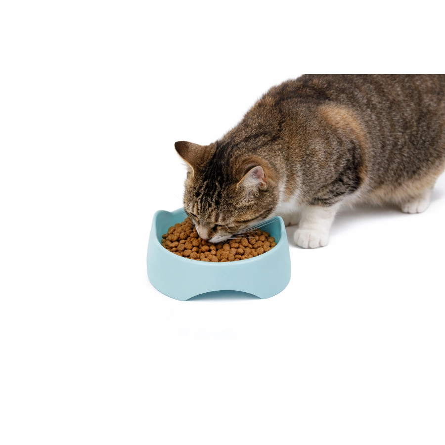 Comedero Pl&aacute;stico Para Gato Leeby