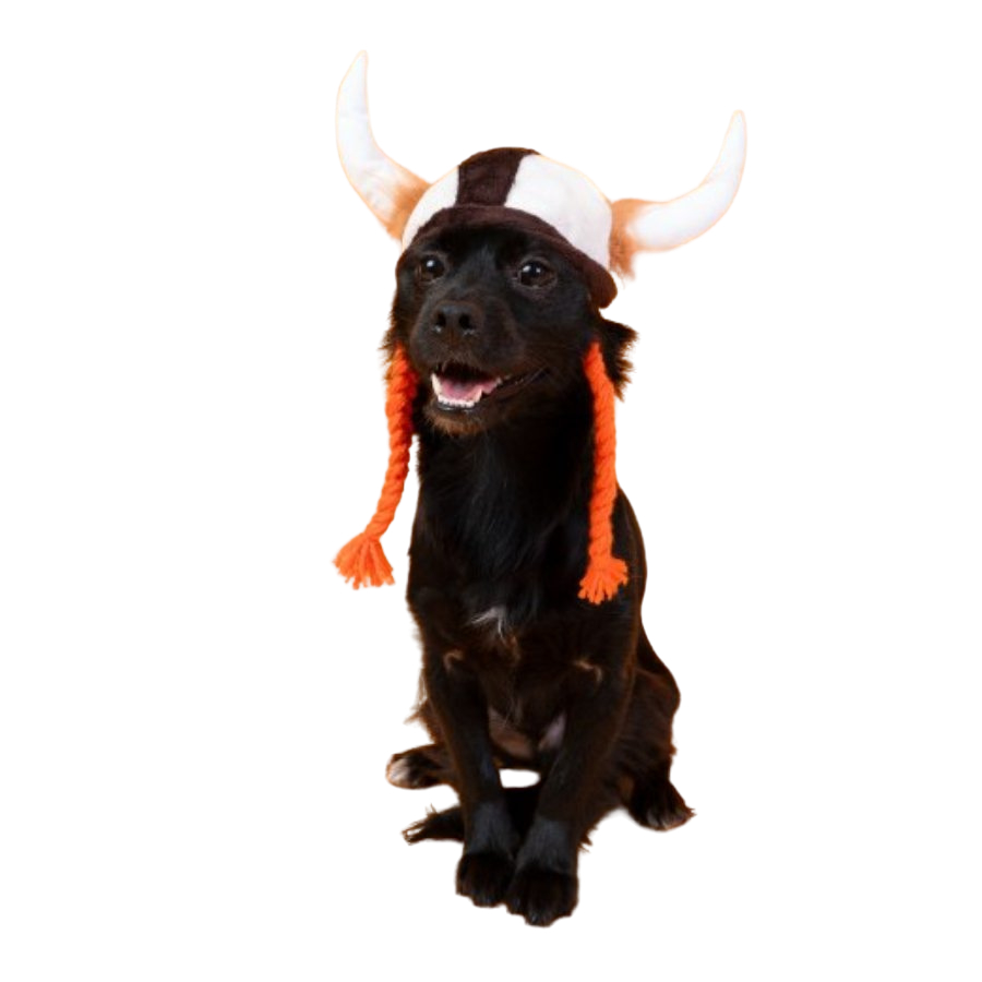Lmb Gorro Vikingo