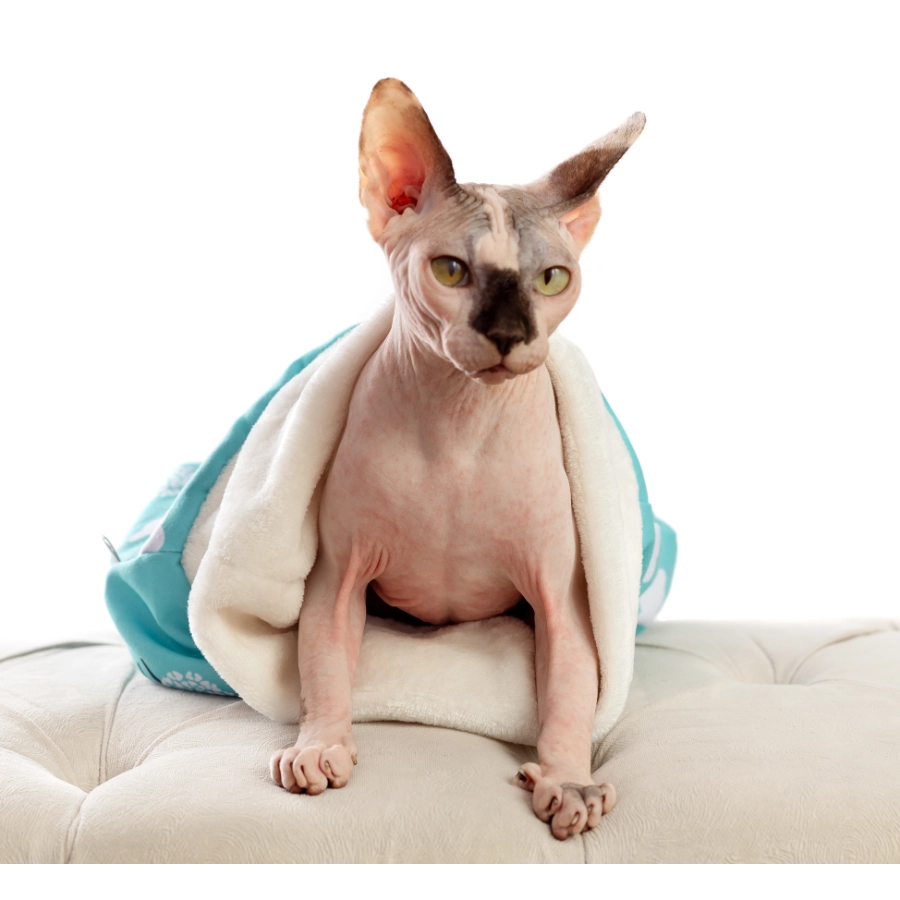 Lmb  Pet Sleeping Bag Talla S, , large image number null