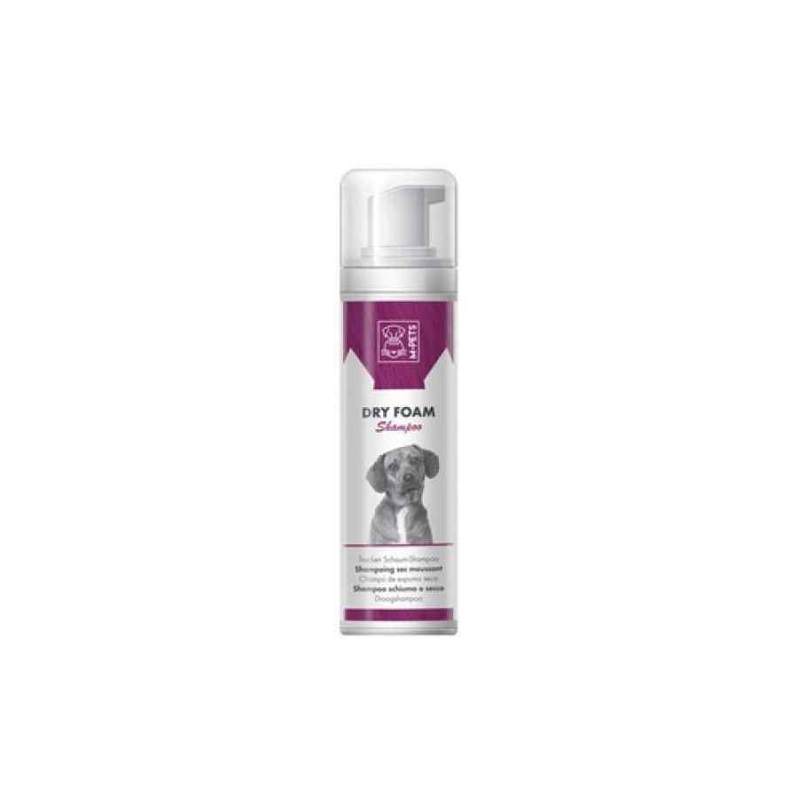Shampoo en seco dry foam 230 ML, , large image number null
