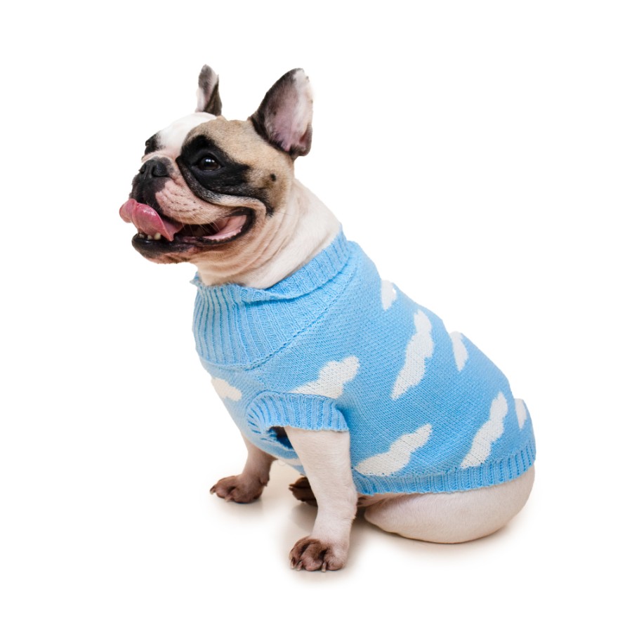 Chompa hilo pretty pet nubes celeste